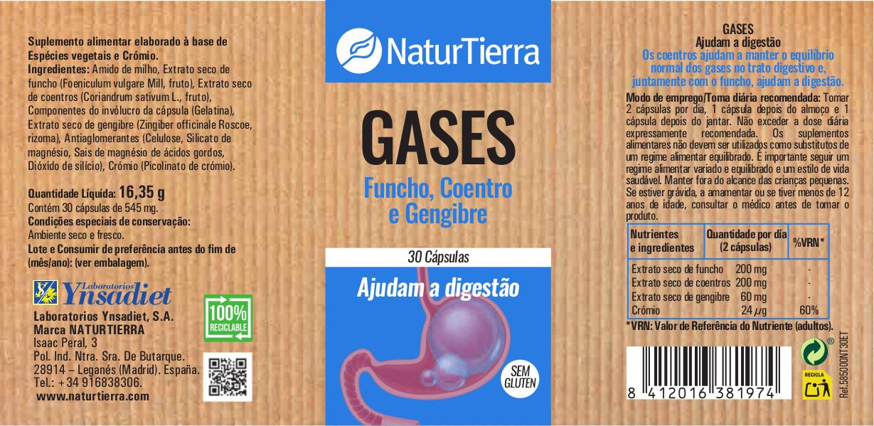 Gases